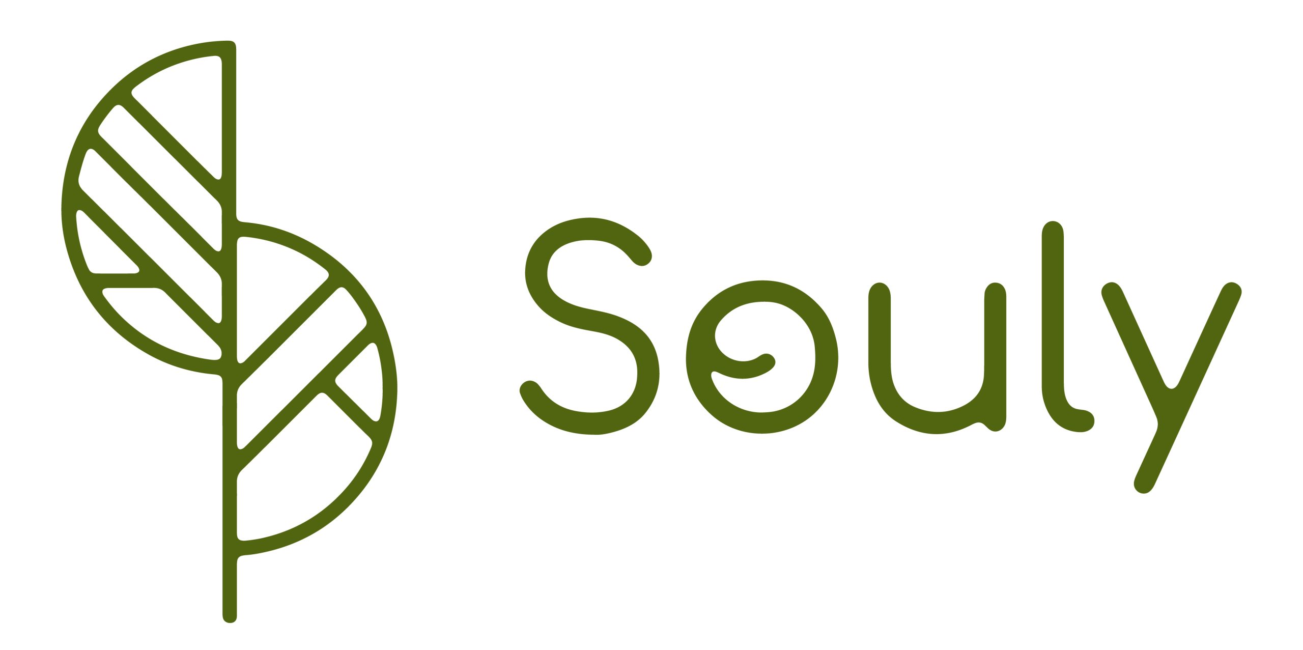 logo_souly_jpg_verde